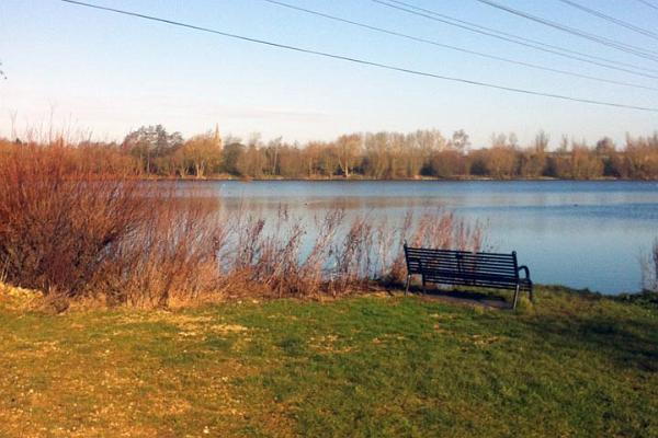 4. The lake beyond the bench.JPG